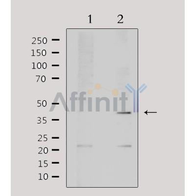 Валидация Affinity DF3514 - 14441
