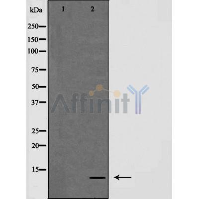 Валидация Affinity AF5277 - 2803