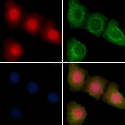 Валидация Affinity AF6509 - 3842