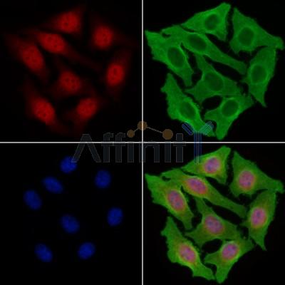 Валидация Affinity DF13286 - 8407