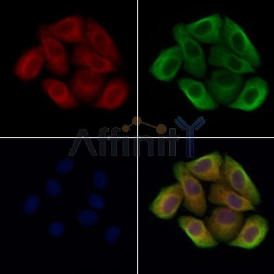 Валидация Affinity DF13384 - 8641