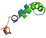 G Protein Coupled Receptor 146 (GPR146) G Protein Coupled Receptor 146 (GPR146)