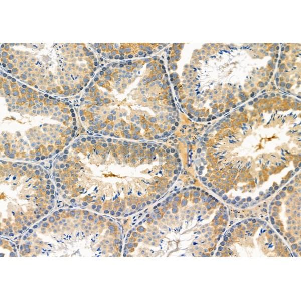 Валидация Affinity DF8870 - 20968