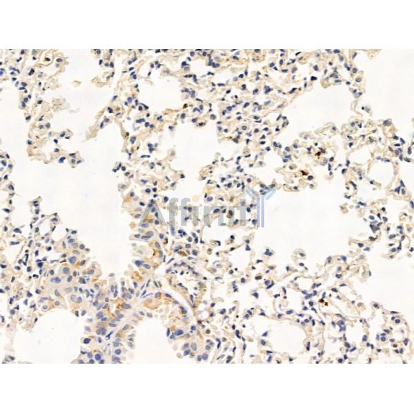 Валидация Affinity DF13618 - 9135