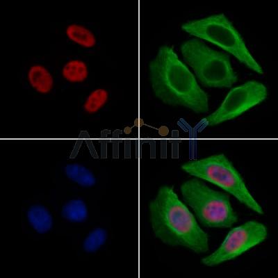 Валидация Affinity AF6005 - 3191