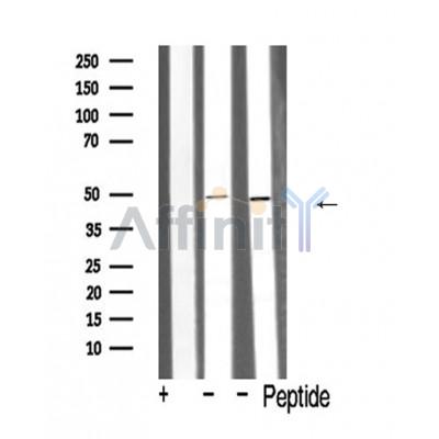 Валидация Affinity AF5349 - 2946
