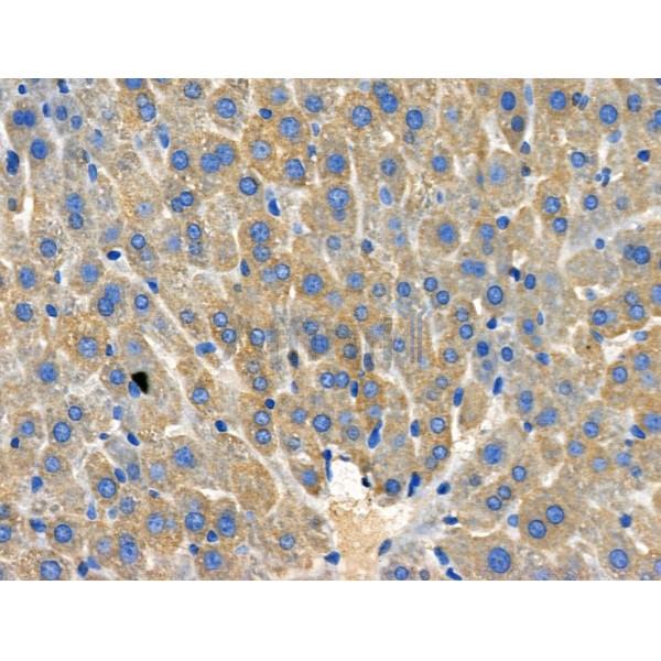 Валидация Affinity DF3972 - 15192