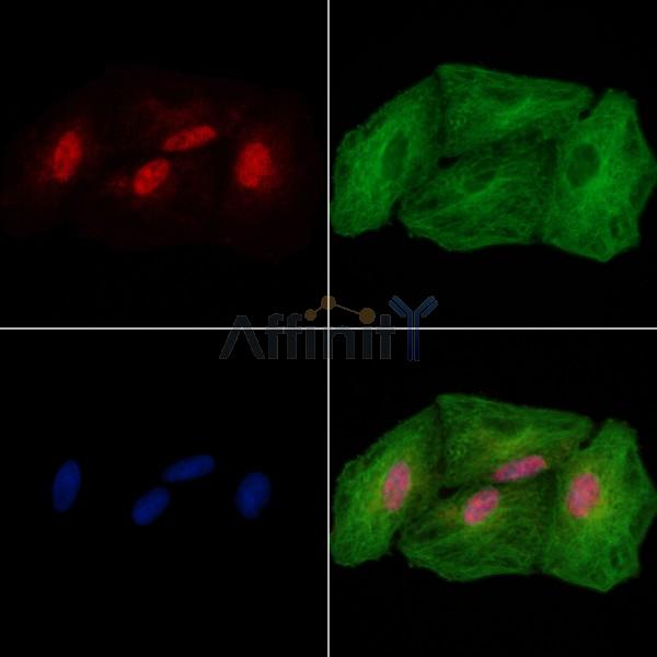 Валидация Affinity AF7558 - 4222