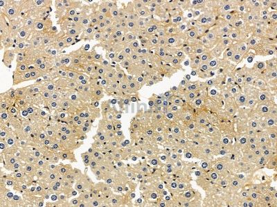 Валидация Affinity DF8379 - 20252