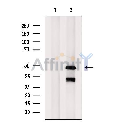 Валидация Affinity DF7260 - 18922