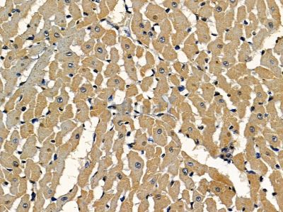 Валидация Affinity DF16103 - 12681