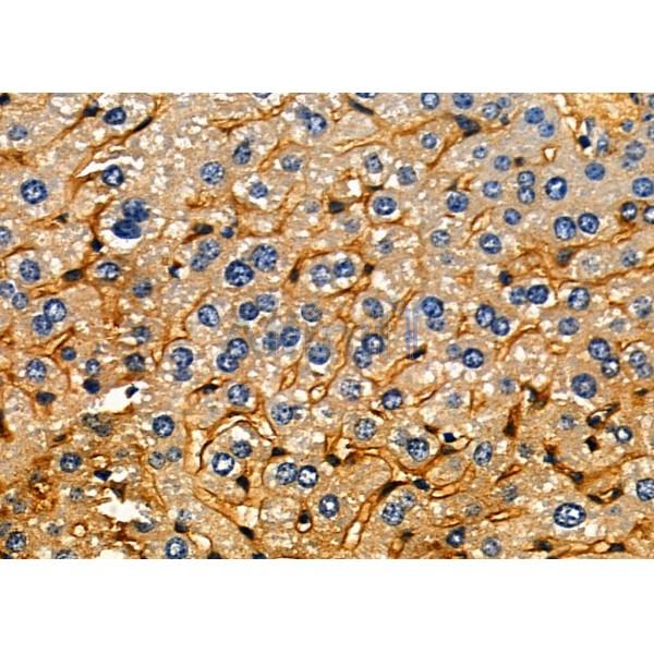 Валидация Affinity AF9072 - 4833