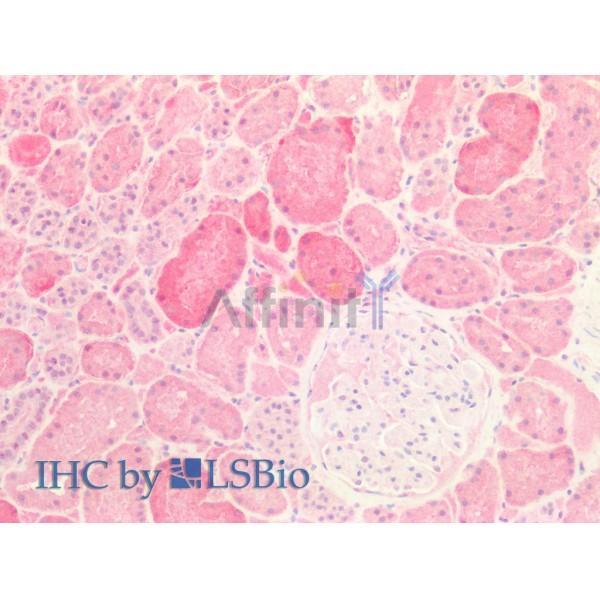 Валидация Affinity AF5294 - 2837