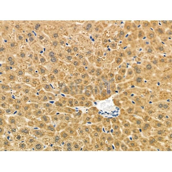 Валидация Affinity DF6348 - 17693