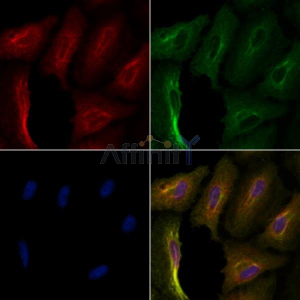 Валидация Affinity DF4996 - 16855