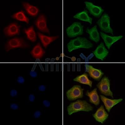 Валидация Affinity AF7606 - 4276