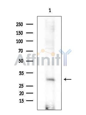 Валидация Affinity DF8725 - 20735
