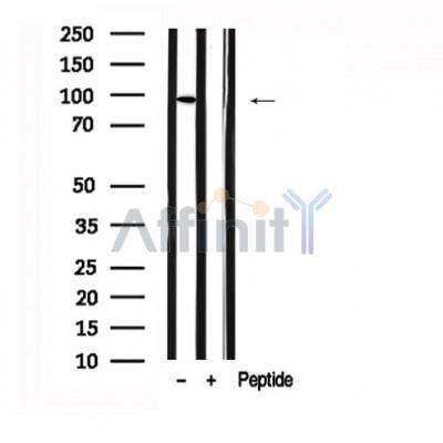 Валидация Affinity AF7624 - 4295