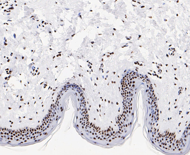 Валидация AssayVector ARM2235(3761)