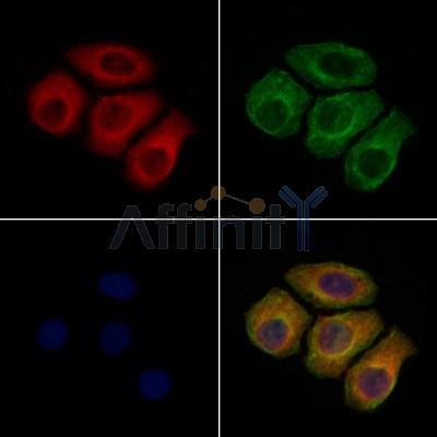 Валидация Affinity DF6731 - 18264