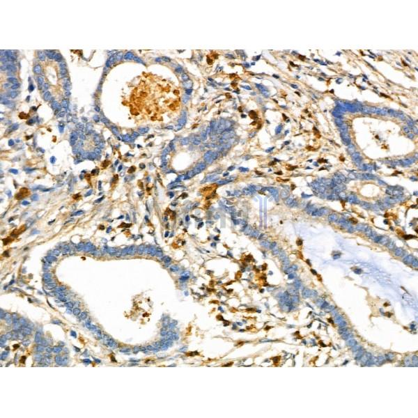 Валидация Affinity DF6373 - 17728