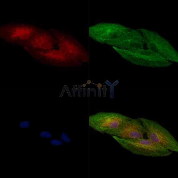 Валидация Affinity AF7872 - 4612