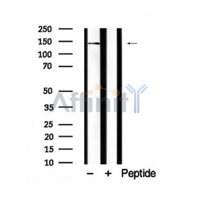 Валидация Affinity AF7926 - 4675