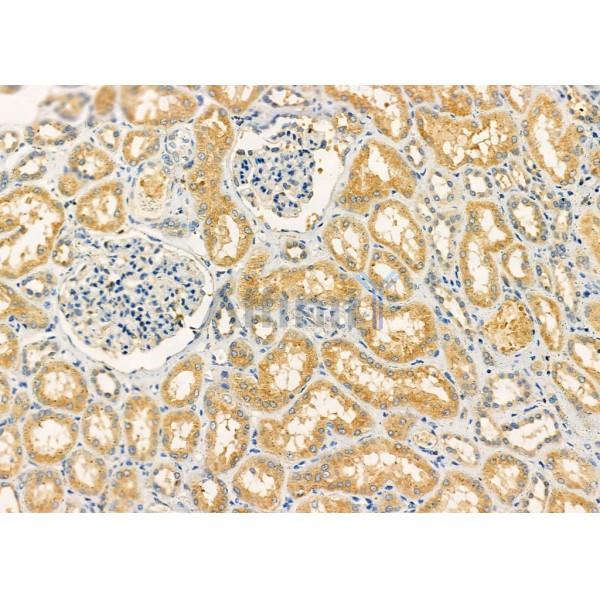 Валидация Affinity DF7060 - 18696