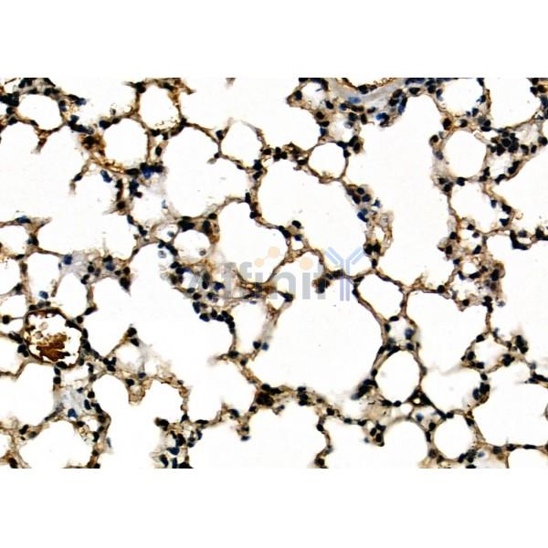 Валидация Affinity DF8541 - 20426