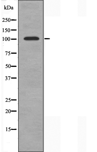 Валидация Affinity DF3256 - 14103