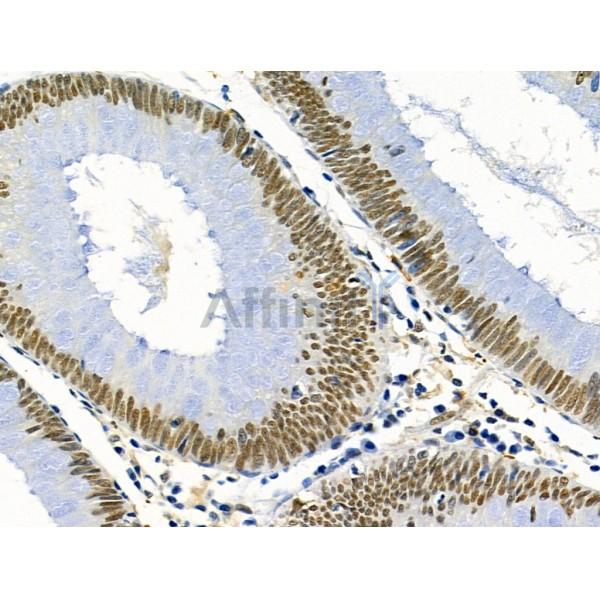 Валидация Affinity DF6439 - 17815