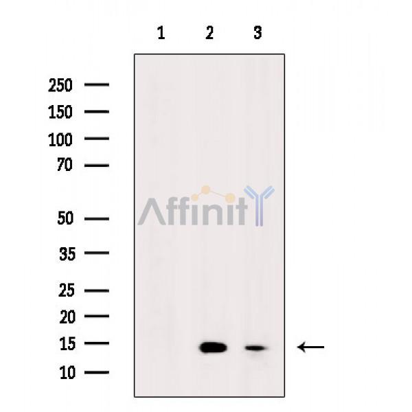 Валидация Affinity DF2929 - 13668
