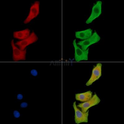 Валидация Affinity DF15514 - 11898