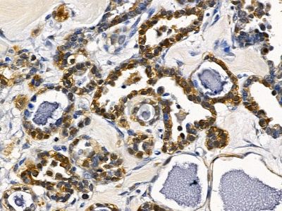 Валидация Affinity DF3462 - 14371