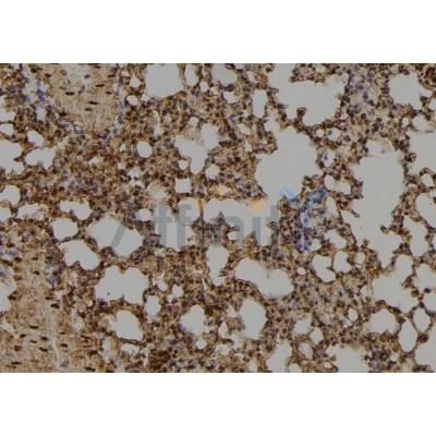 Валидация Affinity DF2932 - 13674