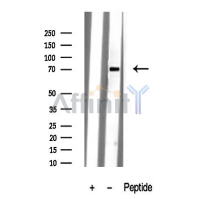 Валидация Affinity DF10312 - 5933