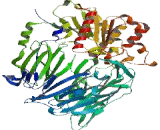 Dipeptidyl Peptidase IV (DPP4) Dipeptidyl Peptidase IV (DPP4)
