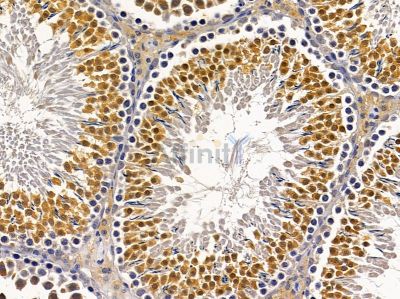 Валидация Affinity DF4250 - 15637