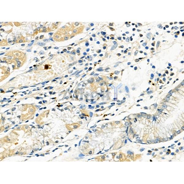 Валидация Affinity DF4835 - 16599