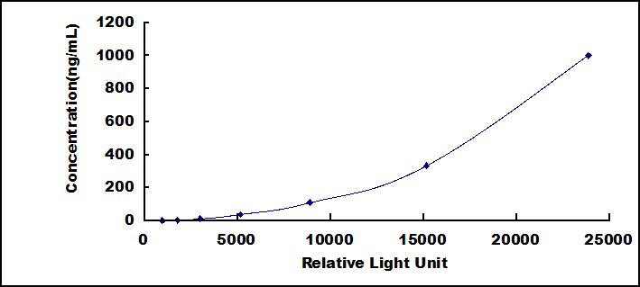 37954