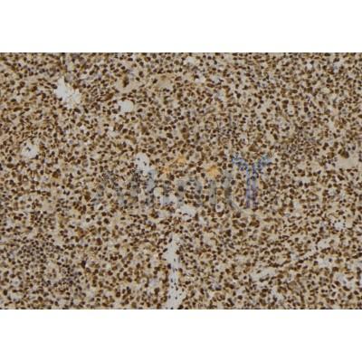 Валидация Affinity DF7297 - 18977