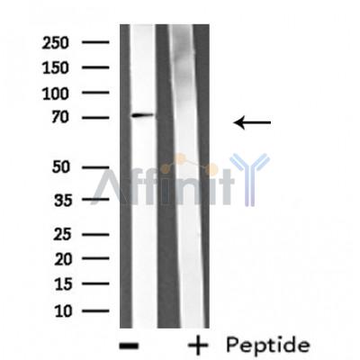 Валидация Affinity DF3825 - 14951