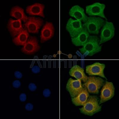 Валидация Affinity DF8425 - 20301