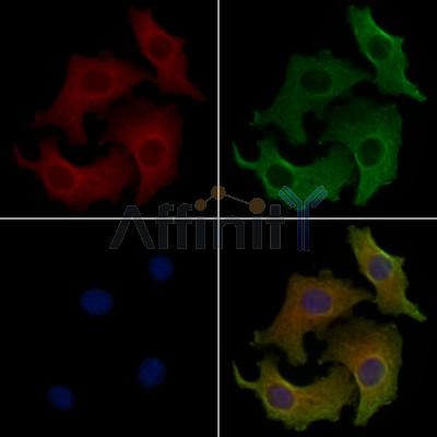 Валидация Affinity DF2659 - 13354