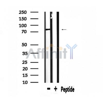Валидация Affinity DF2298 - 12857