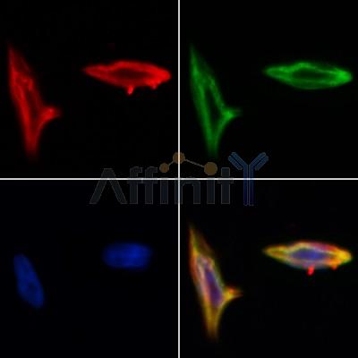 Валидация Affinity DF12372 - 6829