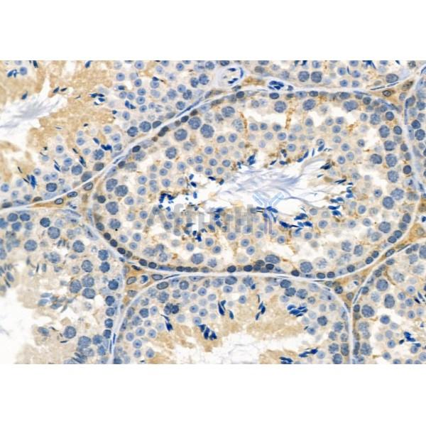 Валидация Affinity DF8946 - 21110