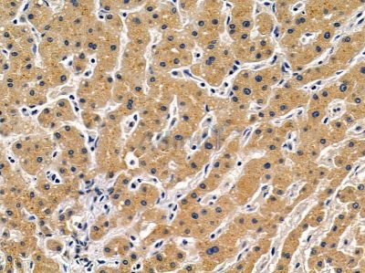 Валидация Affinity DF3477 - 14392