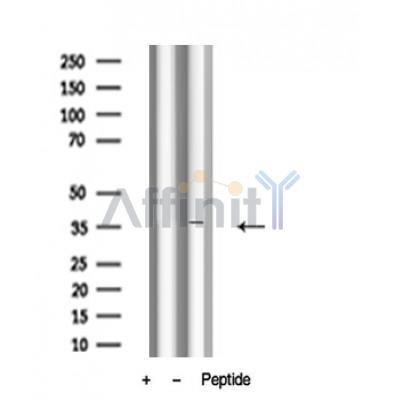 Валидация Affinity AF4622 - 2234