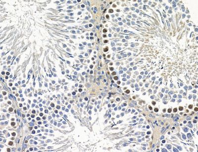 Валидация Affinity DF14617 - 10639